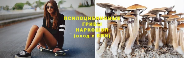 ГАЛЛЮЦИНОГЕННЫЕ ГРИБЫ Абдулино