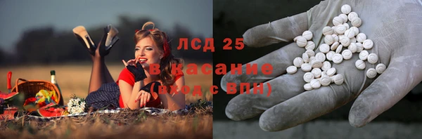 ГАЛЛЮЦИНОГЕННЫЕ ГРИБЫ Абдулино