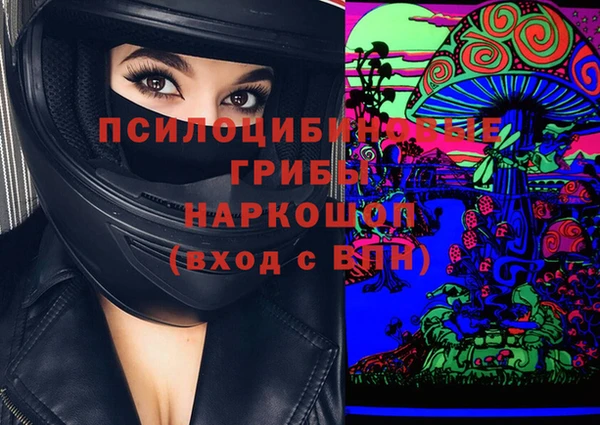ГАЛЛЮЦИНОГЕННЫЕ ГРИБЫ Абдулино