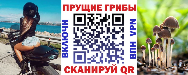 где продают наркотики Чегем Галлюциногенные грибы прущие грибы